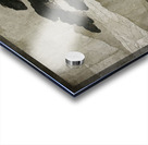 Beneath the Boughs Acrylic print