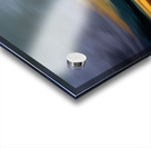 Shadows in Motion Acrylic print