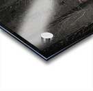 Frost on Barren Limbs Acrylic print