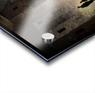 Ashlight on Silhouettes Acrylic print