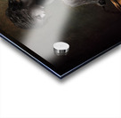 Hidden Hope Acrylic print