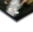 Held by the Blur Acrylic print