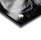 Portrait in Winter s Grasp Acrylic print