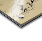 Inked with Uncertainty Acrylic print