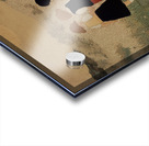 Before We Knew the World Acrylic print