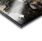 Old Hands Acrylic print