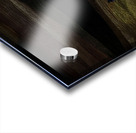 Toward an Unnamed Light Acrylic print