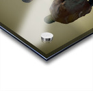 Restorative Ground Acrylic print