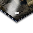 Soot Veiled Afternoon Acrylic print