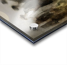 The Unnamed Five Acrylic print