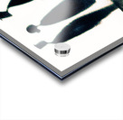 Restorative Silence Acrylic print