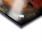 Restorative Balance Acrylic print