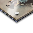 Waiting for Tomorrow Acrylic print