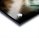 Portrait of a Passing Moment Acrylic print