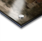 The Vanishing Family Acrylic print