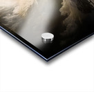 A Small Witness Acrylic print