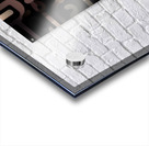 The Language of Curves Acrylic print