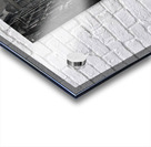 A Question in Gray Acrylic print