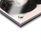 Inked Reverie Acrylic print