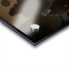 The Long Journey Acrylic print