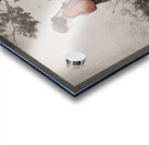 The Listening Path Acrylic print