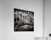 When Shadows Wander Acrylic Print