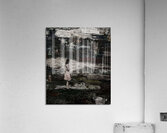 Whispers in the Pink Acrylic Print