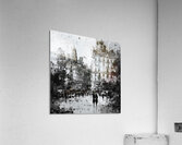 Disorder and Grace Acrylic Print