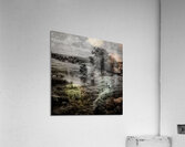 When Time Was Gentle Acrylic Print