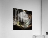 Past the Pines Acrylic Print