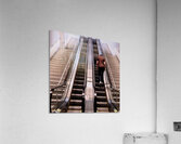 Steps To Nowhere Acrylic Print