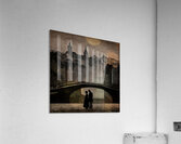 Moonlit Conversations Acrylic Print