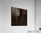 Echoes in Motion Acrylic Print