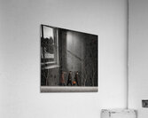 Frost on Barren Limbs Acrylic Print