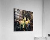 Prismatic Stampede Acrylic Print