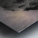 Echoes Within Metal print