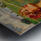 Through Dreams and Wildflowers Metal print