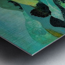 Wanderer of Light Metal print