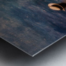 Draped in Sunlight Metal print