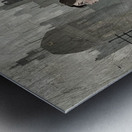 Crimson Silence Metal print