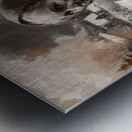 The Last Path Home Metal print