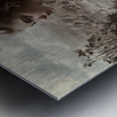 The Girl Who Spoke to Birds Metal print