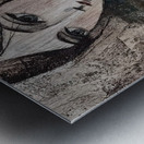 A Study in Shadows Metal print