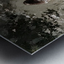 In the Quiet Meadow Metal print