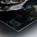 Where We Once Wandered Metal print