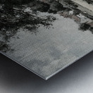 Echoes of an Afternoon Metal print