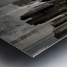 Where Shadows Walk Metal print