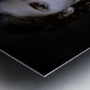 Whispers in Braid Metal print