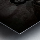 The Hollow Stare Metal print