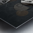 Unspoken Gravity Metal print